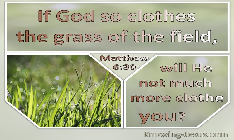 Matthew 6:30 If God So Clothe The Grass Will He Not Much More Clothe You (sage)
